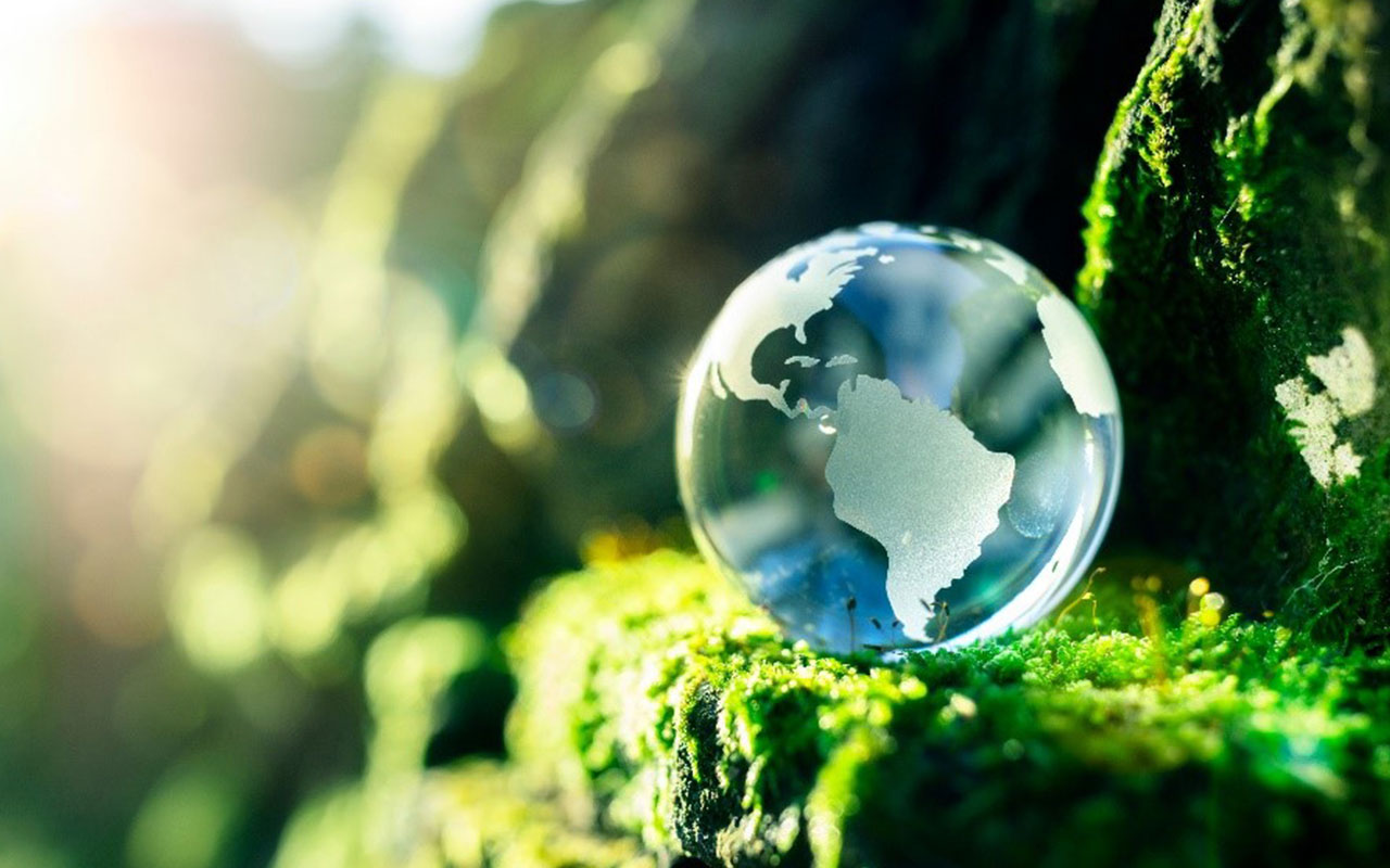 Así logramos la excelencia ambiental