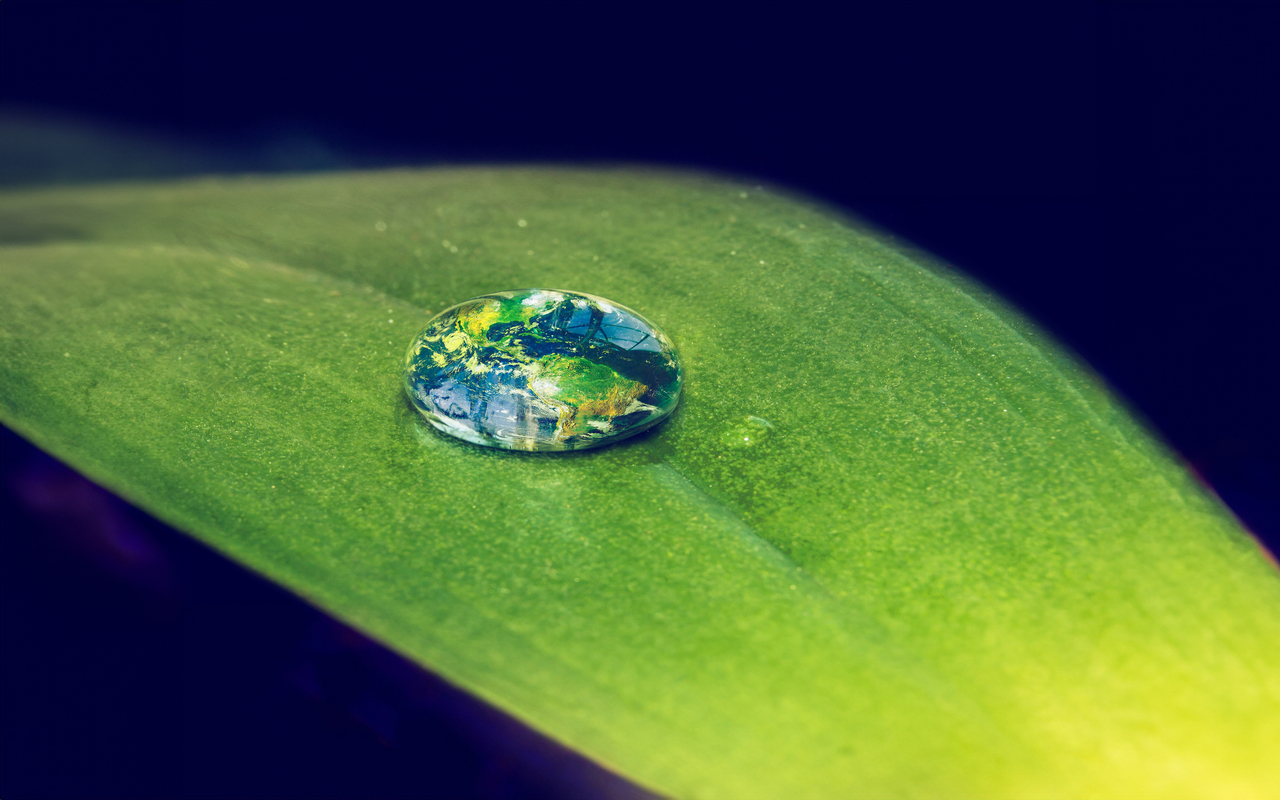 Súmate al cambio: Acciones simples para frenar el cambio climático