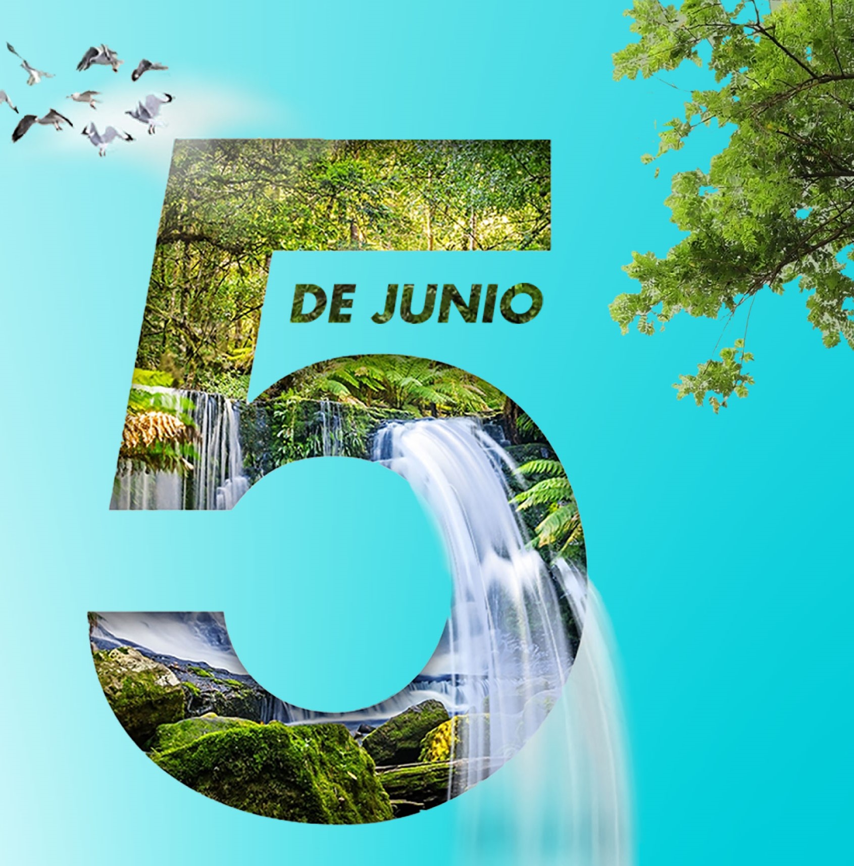 Compromiso real con el ambiente