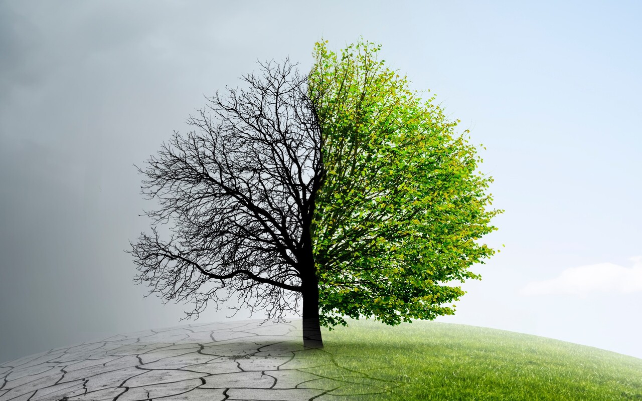 Aún estamos a tiempo para trabajar por un futuro sostenible